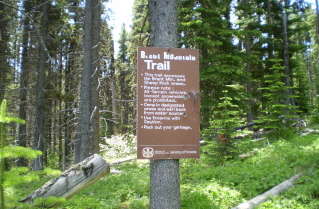 Sign a short distance in from the Brent Mtn trail head 2009-07.